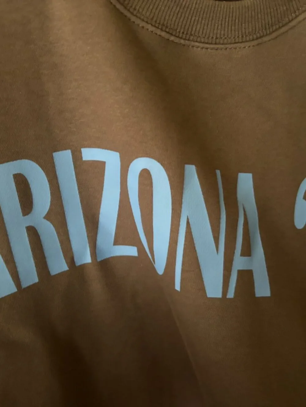 NEW Wild Fable Women's Oversized Pullover Arizona '97 Brown Medium Sweatshirt - Picture 3 of 6